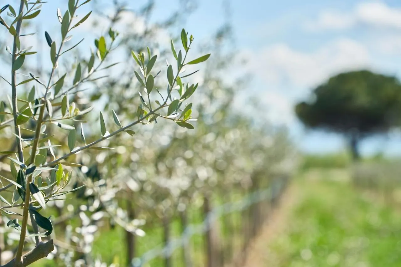 Agriturismo Borgonuovo Rimini Italia